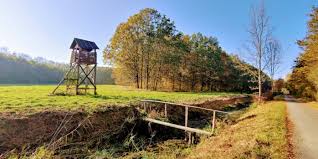 Compare prices & save money with tripadvisor (the world's largest travel website). Kam Na Vylet Jizni Morava Palava Lednice Hustopece Mikulov Ubytovani A Apartmany Pritluky Vinarstvi Zdenek Bukovsky