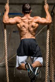 Build muscle while you sleep. Back Workouts For Mass That Beginners Use To Build Size Bodybuilding Com
