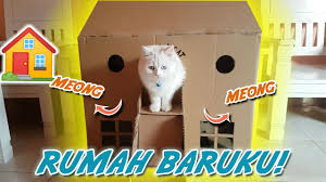 Seperti rumah dengan gaya yang berbeda pada gambar di atas. Keren Membuat Rumah Kucing Dari Kardus Cat Box Youtube