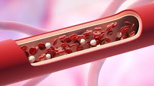 Plasma darah sebagian besar terdiri dari air yaitu 90% dan mengandung protein & bahan organik. Sistem Peredaran Darah Pada Manusia Apa Dan Bagaimana Prosesnya Kelas Pintar