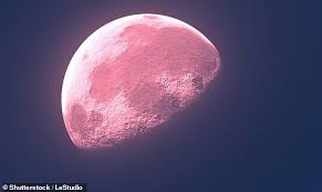 Look Up And See The Pink Moon Tonight In 2020 Next Full Moon Pink Moon Sturgeon Moon
