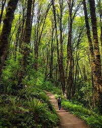 Pin On Things To Do In The Portland Area