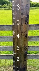 Growth Chart Ruler Wooden Growth Chart Kids Growth Chart