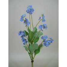 The name comes from the ancient greek μυοσωτίς mouse's ear, which the foliage is thought to resemble. Artificial Forget Me Nots Posy Blue Artificial Flowers