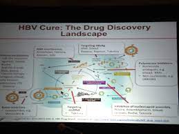 There S Hope For A Hepatitis B Cure At The Hep Dart 2015 Conference Hepatitis B Foundation