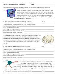 The nocturnal worms are in their burrows during this time. Darwins Natural Selection Worksheet Natural Selection Bears