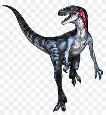 Make a fun coloring book out of family photos wi. Utahraptor Png Images Pngwing
