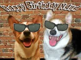 With online birthday cards, reach out faster to your best friends on their birthdays by sending them happy birthday wishes for best friends. Corgi Happy Birthday Youtube