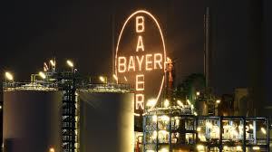Aug 02, 2021 · bayer aktie: Glyphosat Urteil Wegen Krebs Bayer Aktie Sturzt Ab Wirtschaft Bild De
