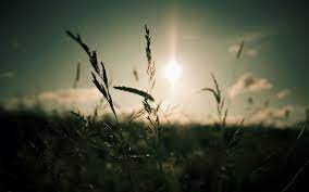 Dark Hd Widescreen Wallpapers For Laptop Nature Desktop Wallpaper Nature Wallpaper Nature Desktop