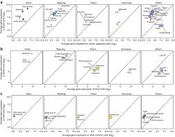 The durian is cultivated in indonesia, the philippines, malaysia, and southern thailand and is seldom exported. The Draft Genome Of Tropical Fruit Durian Durio Zibethinus Nature Genetics