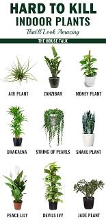 9 Low Maintenance Hard To Kill Plants For Your Home The House Talk In 2020 Hanging Plants Indoor Plants Indoor Plants