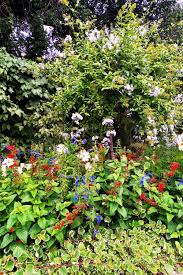 Der Geheime Garten Wunderschone Garten In Grossbritannien In 2020 Geheimer Garten Geheime Garten Garten