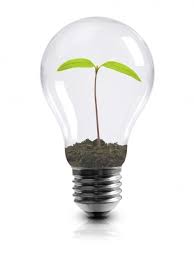 Plant Light Bulbs Ideas Home Interior Design Ideas Plant Lighting Light Bulb Bulb