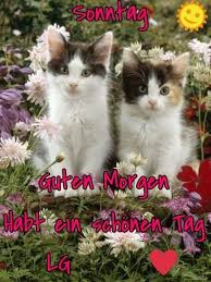 Hier findest du die besten bilder, fotos. Schonen Guten Morgen Heute Zum Sonntag Wie Oft Wart Ihr Im Leben Mit Dem Zelt Oder Caravan Im Urlaub Unterwegs Und Welche Art Von Urlaub Zieht Ihr Vor Reisen Und Urlaub Erfahrungen