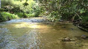 Salah satu tempat menarik di kedah yang terkenal yang terdapat di pulau langkawi ialah langkawi sky bridge. Tempat Menarik Di Baling Untuk Pencinta Alam Semulajadi Ammboi