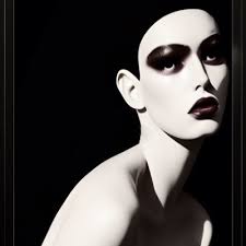 Chickadee Prince Books (@PrinceChickadee)