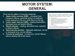 Image result for Motor Exam