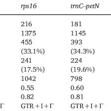 Image result for Kylicanthe rohrii