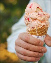what is palmer house ice cream