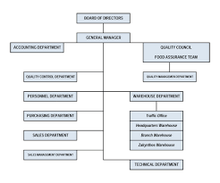 Organisation Chart Eftychios Spetseris S A