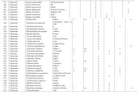 Image result for Dialium holtzii