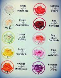 Flowers Colors Meaning Rose Color Meanings Flower Meanings Birth Month Flowers