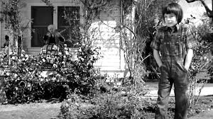 To Kill A Mockingbird Chapter 11 Storyboard Por Fbfef7Df