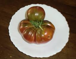 黒トマトの正体 美味 千葉で趣味の野菜作り