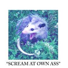 He Scream At Own Ass Know Your Meme