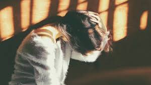 E) hemoragia din ulcerul duodenal. Hemoragia Subarahnoidiana Cauze Si Remedii Sfaturimedicale Ro