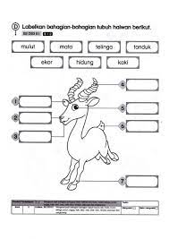 100%100% found this document useful, mark this document as useful. Sains Tahun 1 Exercise