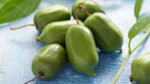 Image result for foto minikiwi