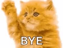 Bye Cat Gifs Tenor