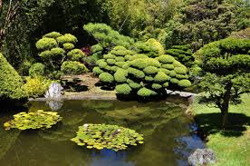 San francisco zoo sloat blvd. San Francisco History Bits Visiting The Japanese Tea Garden In Golden Gate Park Wanderwisdom