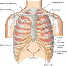 Pin On Health