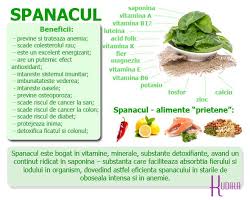 Spanacul 7 Beneficii Pentru O Primavara Plina De Sanatate Health Food Nutrition Sports Healthy