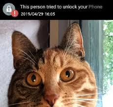 I have written about this before so i will quote myself here:. This Person Tried To Unlock Your Phone Funny Animal Photos Funny Animal Jokes Cute Kitten Gif