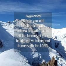 Haggai 2:17 Kjv - I Smote You With Blasting And With Mildew And