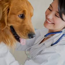 VETSELECT ANIMAL HOSPITAL