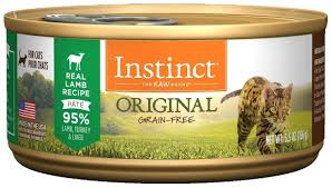Best Cat Food For Diabetic Cats 2019 Were All About Cats