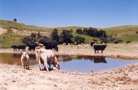 The Lowman Family, still pioneering