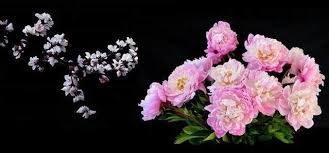扬州慢 天雨 floral wreath floral wreaths