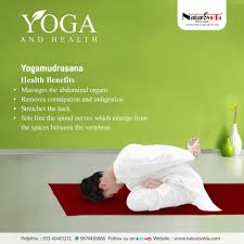 Yogamudrasana Health Benefits Yoga Asanas Wellness Yoga Yoga Benefits