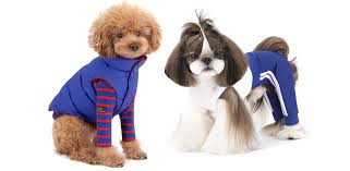 In a bowl, whisk together 1/4 cup of the vinegar, the soy sauce, canola oil, 2 tbsp of the sugar, 1 tbsp of the sriracha and 1 tsp of the sesame oil. The Top Clothing Brands From Korea For Your Stylish Pet