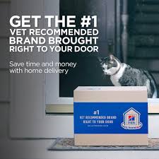 Our vets have over 10 years of experience within the practice of you entrust your pet's routine care to us, so it makes sense to let us care for you and your pets at all times especially stressful times. Veterinarian In Point Pleasant Nj Point Pleasant Veterinary Hospital