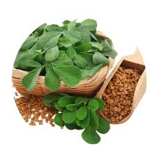 Image result for Trigonella