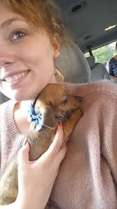 Here are my chiweenie babies Dolly (light colored) and Buddy (darker  colored). They are spoiled rotten!!