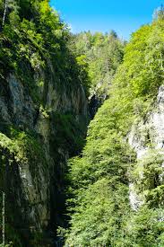 Die kleinen kinder finden beim gemeinsan wandern mit ihren familien die verschiedensten geister auf. St Johann Im Pongau Liechtensteinklamm Gernkogel Wanderung 10 Roadtrip Salzburg Von Wasser Zu Wasser Mado Unterwegs