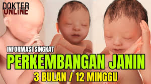 Berikut 9 cara untuk menggugurkan kandungan yang kuat dan lemah secara alami untuk usia kehamilan 1,2,3,4,5,6,7 bulan yang sudah terbukti menggugurkan janin secara cepat yang wajib anda ketahui. Usia Kandungan 3 Bulan Kehamilan 12 Minggu Perkembangan Pertumbuhan Janin Youtube